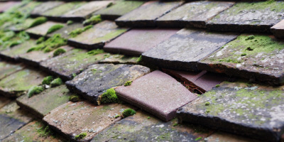 Orrell Park roof repair costs